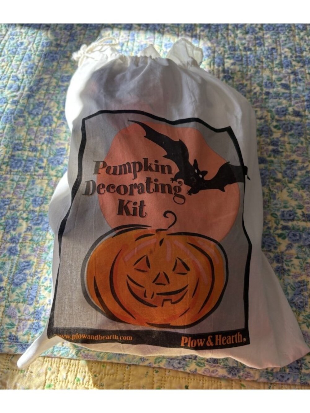 Plow And Hearth Decorate Your Own Pumpkins .